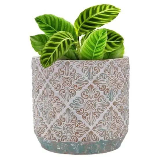 Inspirella 6.3 Inch Timeless Colorful Hand Painted Glazed Ceramic Round Indoor Outdoor Succulent Plant Pot with Drainage Hole and Plug image {1}