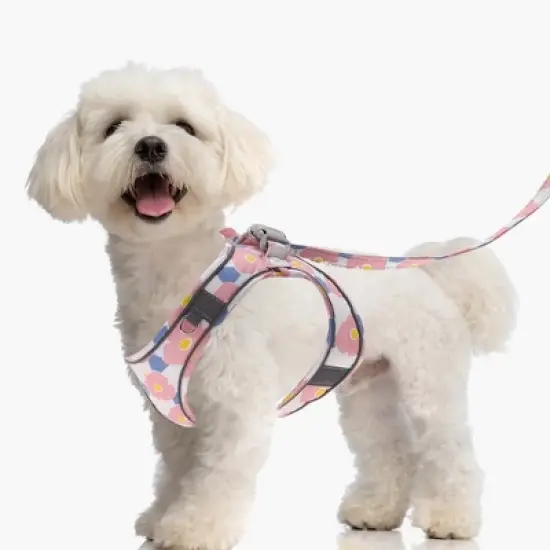 Unique Bargains Dog Harness and Leash with Reflective Strip Medium Pink 1 Set image {5}
