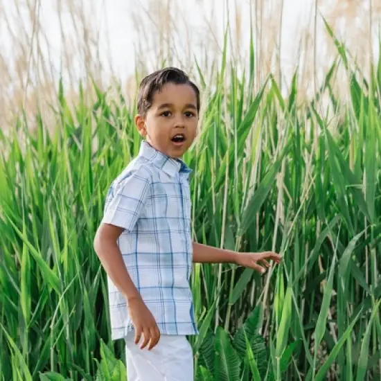Hope & Henry Boys' Stretch Short Sleeve Button Down Shirt, Infant image {2}
