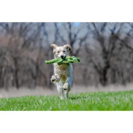 Fluff & Tuff Georgia Gator Dog Toy - 18" image {2}