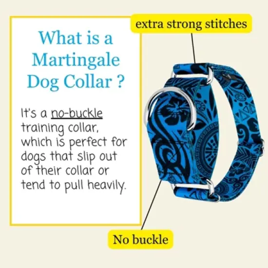 Country Brook Petz HossFit Jr Wide Martingale Dog Collar - Attitude Collection image {1}