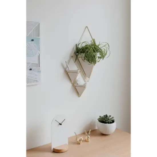 Set of 2 Trigg Wall Display Planters White/Brass - Umbra image {15}