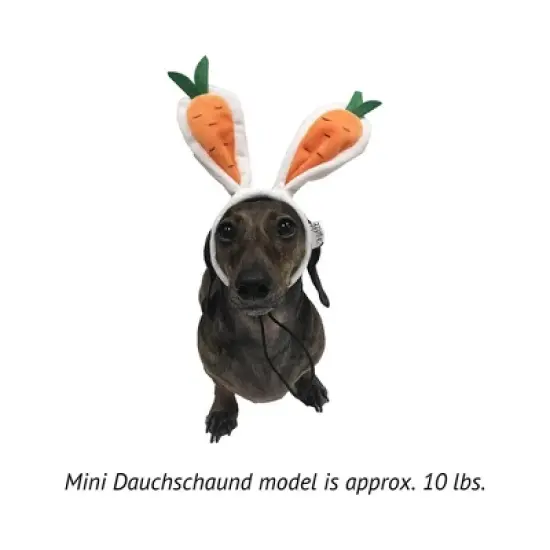 Midlee Carrot Bunny Ears Easter Dog Headband Costume image {7}