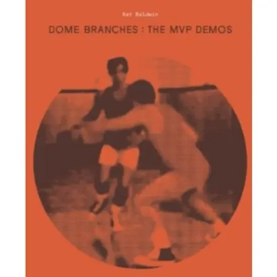 Nat Baldwin - Dome Branches: MVP Demo image {1}
