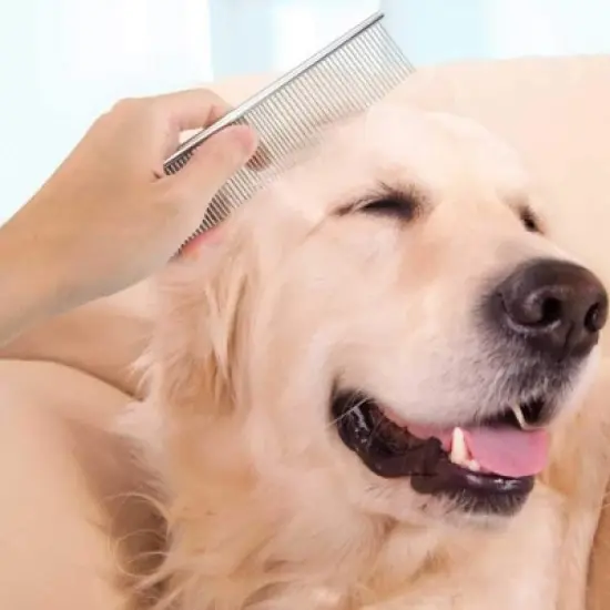 Bellura Pet - Stainless Grooming Comb for Pets - Silver image {1}