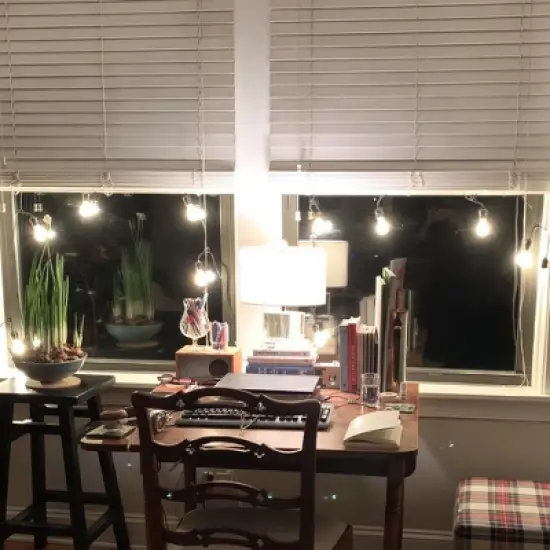 Northlight 15ct Commercial Grade Adjustable Drop Length E17 A Shape Christmas Lights Clear - 21' Black Wire image {3}