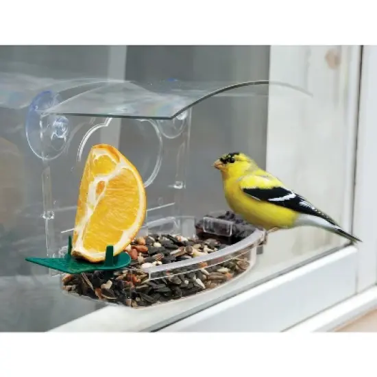 Audubon Wild Bird 1 lb Plastic Window Mount Bird Feeder 2 ports image {2}
