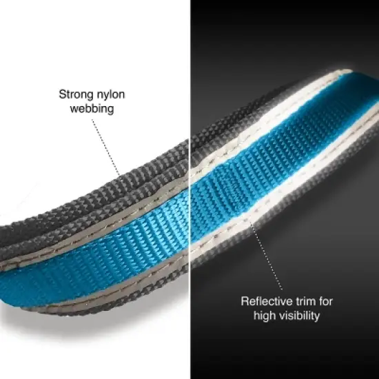 Kurgo Quantum Adjustable Length Dog Leash - 72" image {1}