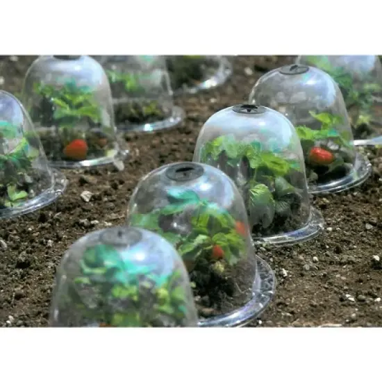 Tierra Garden Victorian Bell Cloches 3pk image {3}