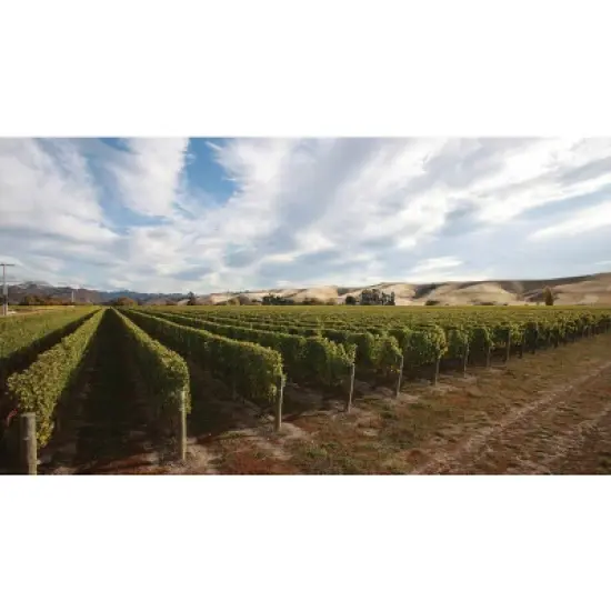 Infamous Goose Sauvignon Blanc White Wine - 750ml Bottle image {4}