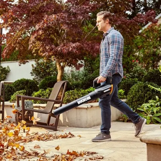 Worx WG929 20V Power Share 12" Cordless String Trimmer & Turbine Leaf Blower Combo (Batteries & Charger Included) image {1}