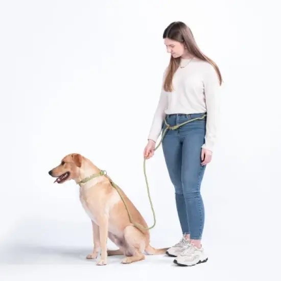 AWOO Infinity Multifunctional Recycled Dog Leash - 7ft image {4}