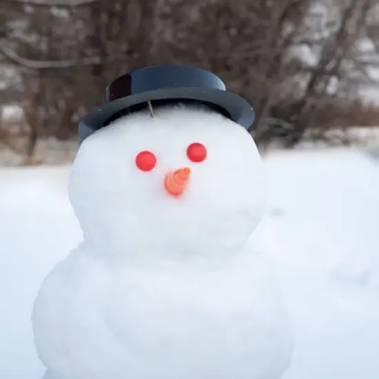 Snow Sector Snow Man Kit image {8}