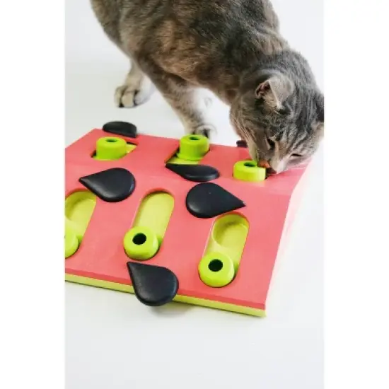 Petstages Nina Ottosson Melon Madness Interactive Treat Puzzle Cat Toy image {1}