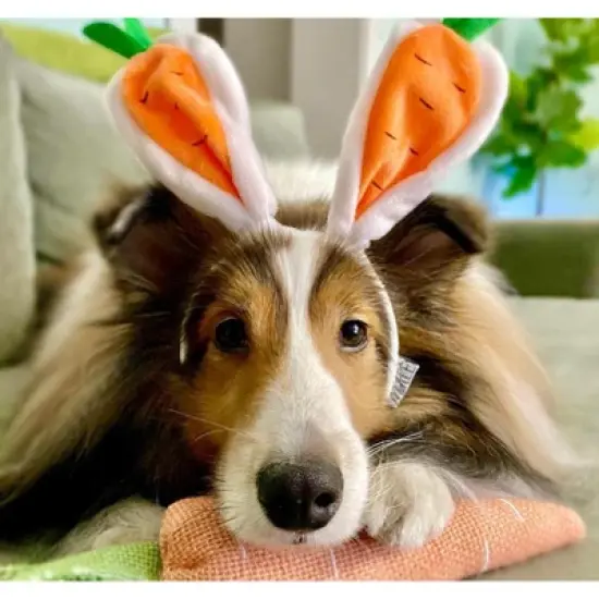 Midlee Carrot Bunny Ears Easter Dog Headband Costume image {2}