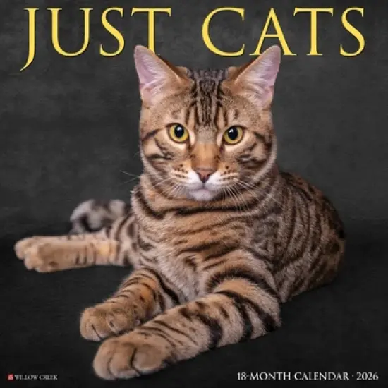 Willow Creek Press 2026 Cats Wall Calendar image {5}