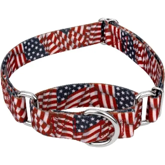 Country Brook Petz Patriotic Tribute Martingale Dog Collar image {7}