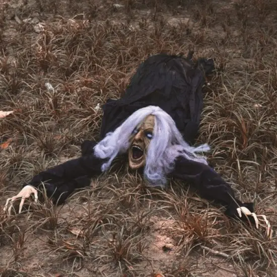 Nifti Nest Halloween Groundbreaker Wicked Witch Zombie image {4}