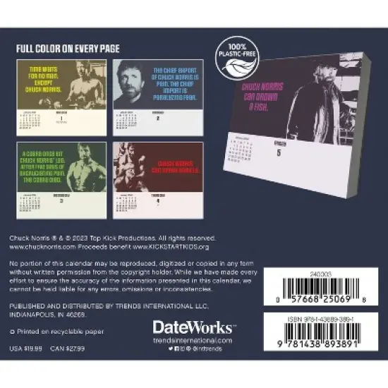 Trends International Inc. 2024 Daily Desk Calendar 4.25"x5" Chuck Norris image {7}