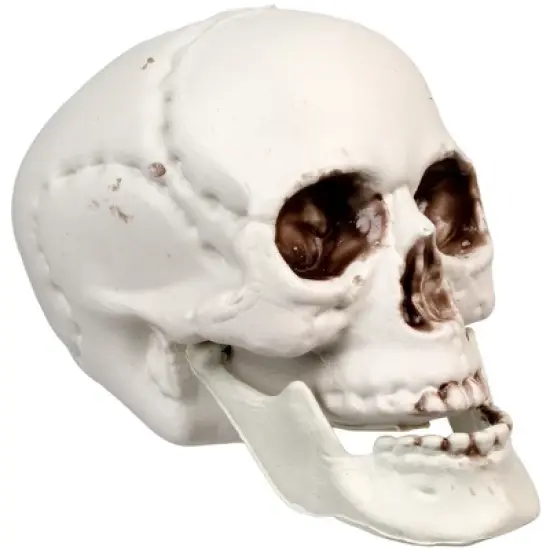 Northlight Skeleton Skull Halloween Decorations - 3.5" - Pack of 6 image {3}