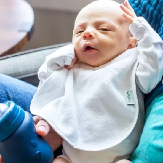 green sprouts Stay-Dry Milk-Catcher Bib Pink/Gray/White - 6pk image {3}