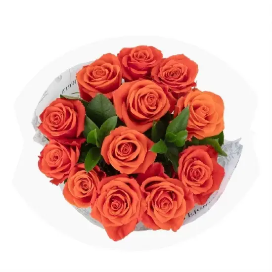 Dozen Fresh Cut Vibrant Roses image {4}