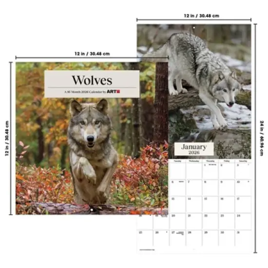 Trends International 2026 Wolves 12"x12" Wall Calendar image {6}