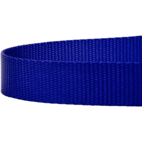 Country Brook Petz 3/4 Inch Nylon Dog Leash image {5}