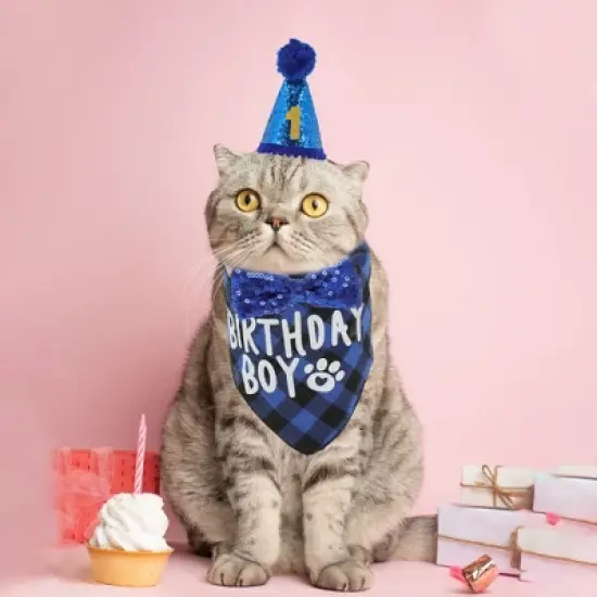 Unique Bargains Cat Birthday Decorations 1 Set image {4}