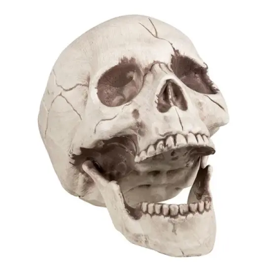 Boland Skull With Movable Jaw Halloween Decoration image {1}