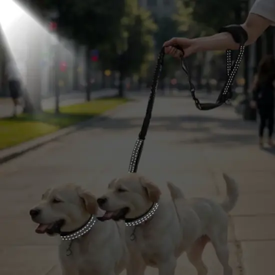 Unique Bargains Hands Free Dog Leash for Two Large Dog Up to 330 Ib 6.6-7.6FT Long Black Gray 1 Pc image {4}