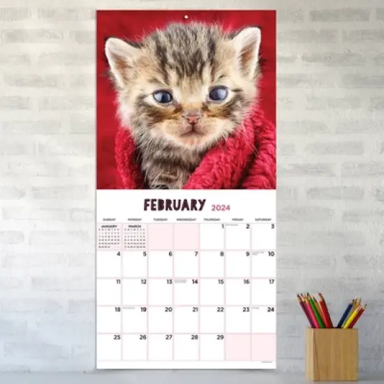 TF Publishing 2024 Wall Calendar 12"x12" Kittens image {2}