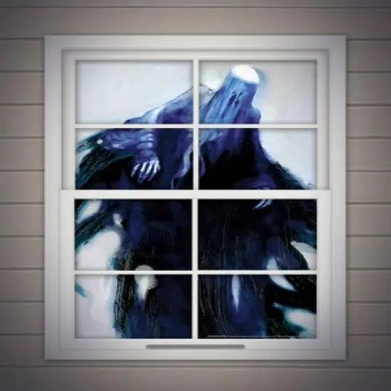 Rubies Harry Potter Death Eater Window Cover image {1}