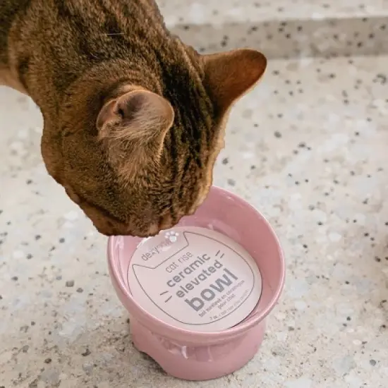 Dexypaws: Elevated Ceramic Bowl For Cats - Ash Blush - 7oz Capacity image {4}