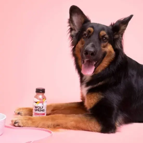 Wolf Spring Multivitamin Wet Dog Food Topper Supplement with Coconut Water image {3}