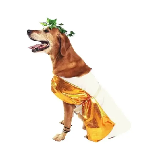 Midlee Toga Dog Costume image {6}
