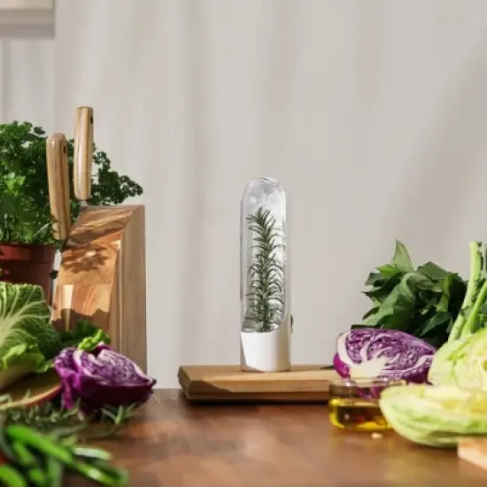 Prepara Herb Savor Pod 2.0 Herb Storage Container - Space Saving for Fridge Door Storage, Pouring Spout Keeps Fresh Herbs Fresh Up to 3 Weeks (2-Pack) image {2}