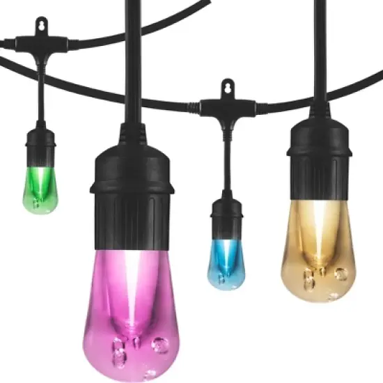 Seasons Vintage LED Caf&eacute; Lights with Acrylic Bulbs - Enbrighten image {6}