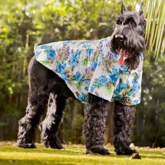 Midlee Blue Hibiscus Hawaiian Dog Shirt image {3}