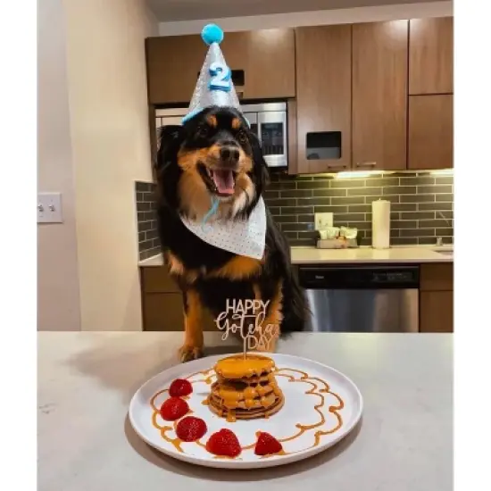 Carrot Cake Pooch Pancakes (14oz) image {5}