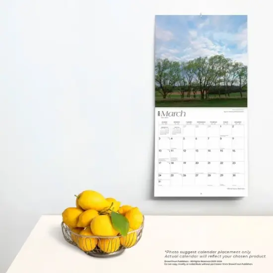 Browntrout 2023-2024 Wall Calendar 12"x12" Nebraska Wild & Scenic image {3}