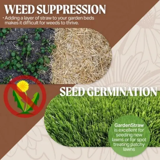 HealthiStraw GardenStraw All-Natural, Clean, Sustainable Garden Straw Mulch for Gardens and Grass Seeding image {4}