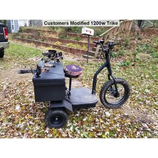 MotoTec Electric Trike 48v 1200w image {6}