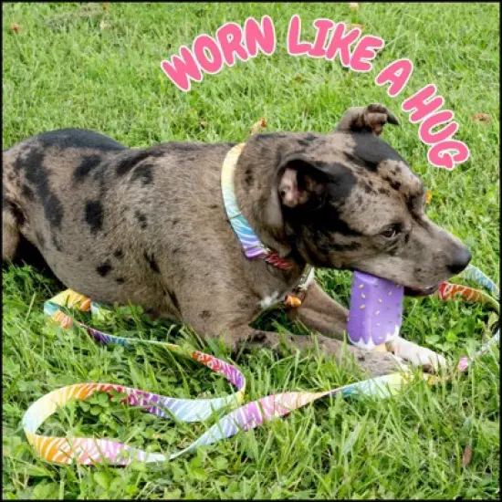 Country Brook Petz Deluxe Fashion Zebra Dog Collar - Made in the U.S.A. (1/2 Inch, Extra Small) image {2}