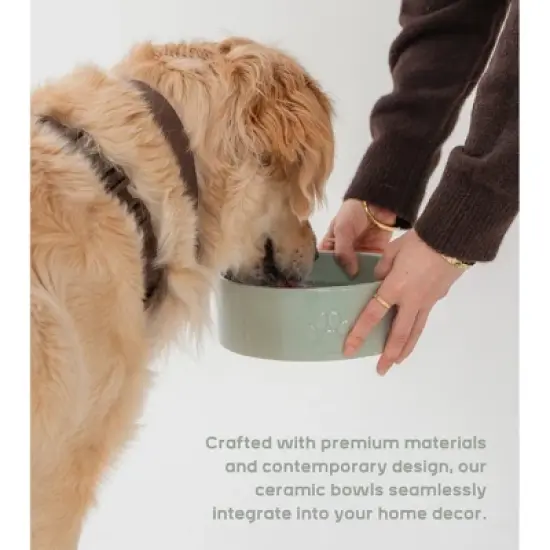Dexypaws: Ceramic Dog Bowl: Sage Green, 26oz, Pet Feeding Dish image {5}