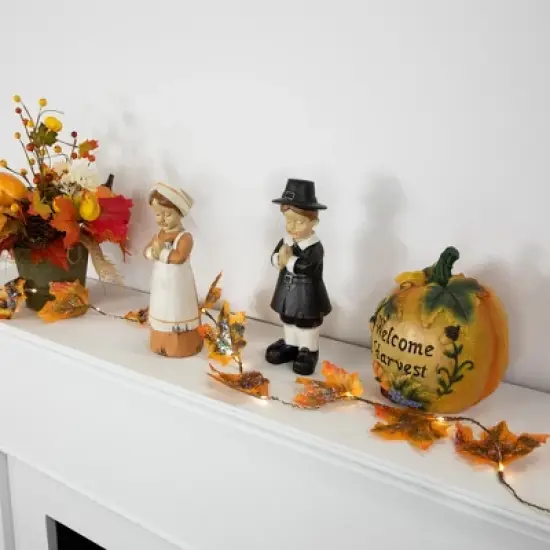 Northlight LED Maple Leaves Fall Harvest Micro Fairy Light Set - 4' Brown Wire - 10ct image {1}