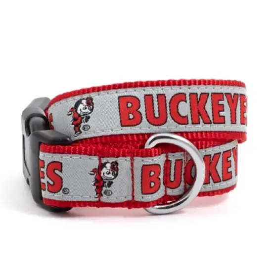 The License House Ohio State Buckeyes Dog Brutus Buckeye Collar image {1}