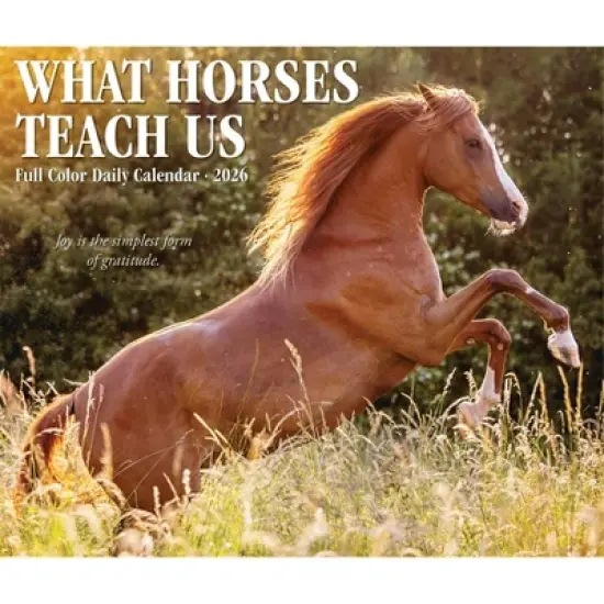 Willow Creek Press 2026 What Horses Teach Us Box Calendar image {4}