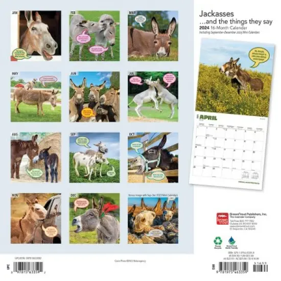 Browntrout 2024 Wall Calendar 12"x12" Jackasses image {1}