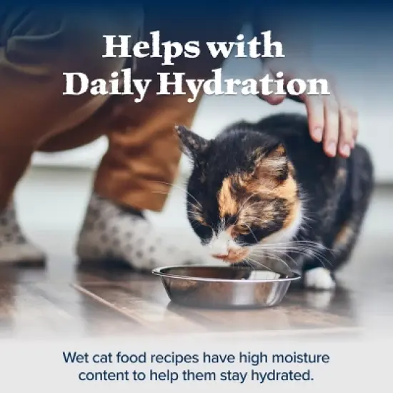 Blue Buffalo Wilderness Wild Delights High Protein Grain Free Natural Adult Flaked Wet Cat Food with Chicken & Turkey - 5.5oz image {6}